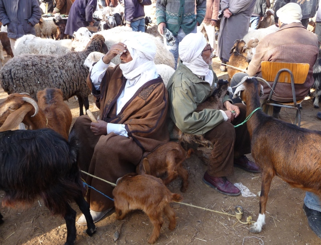 douz_market_shepherds